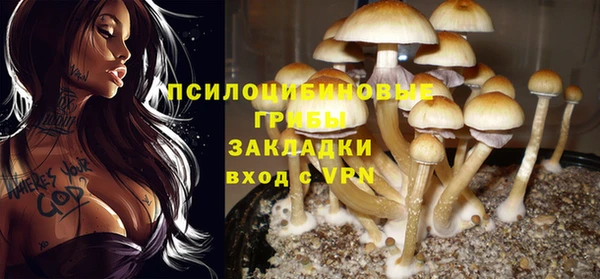 а пвп мука Аркадак