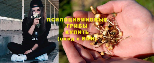 МДМА Арсеньев